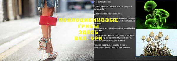 spice Абаза